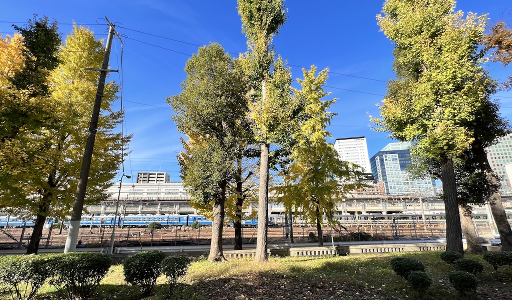 西町公園から見えるJR車庫