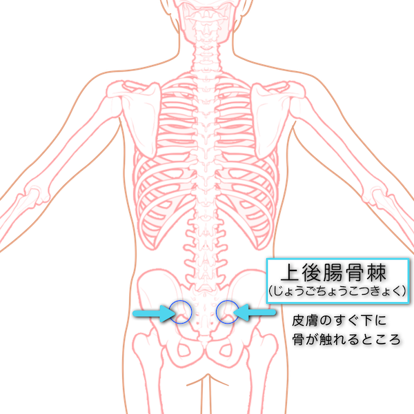 やわこを敷くポイントの上後腸骨棘