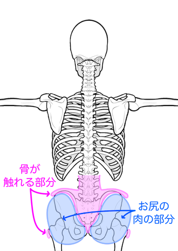 腰からお尻にかけて骨が触るところとお尻の肉の部分