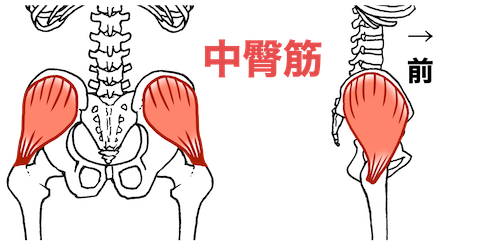 お尻の筋トレで鍛える中臀筋